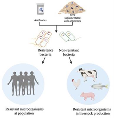 Antimicrobial Peptides Controlling Resistant Bacteria in Animal Production